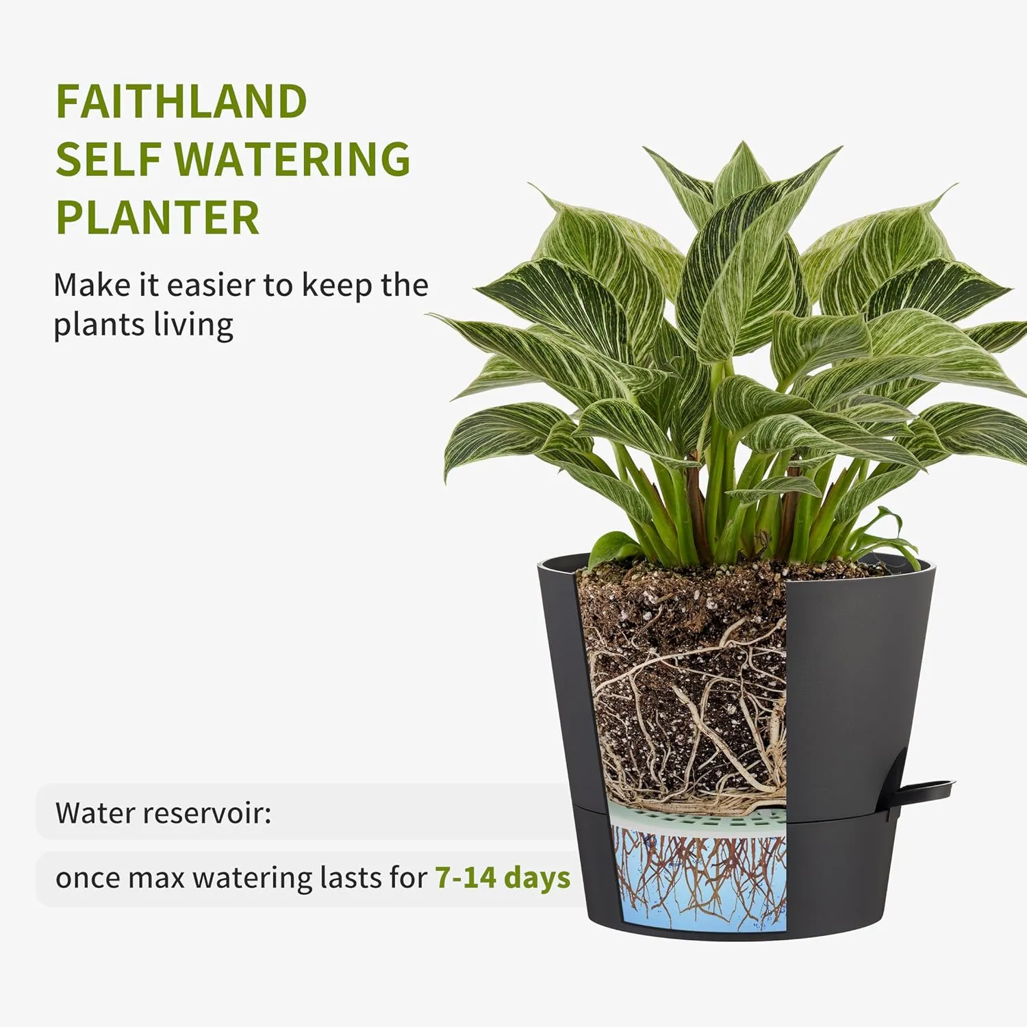 FaithLand 6-Pack Black Self Watering Planter Pots for Indoor Outdoor Plants - 8, 7, 6.5, 6, 5.5, 5 Inches Flower Pots