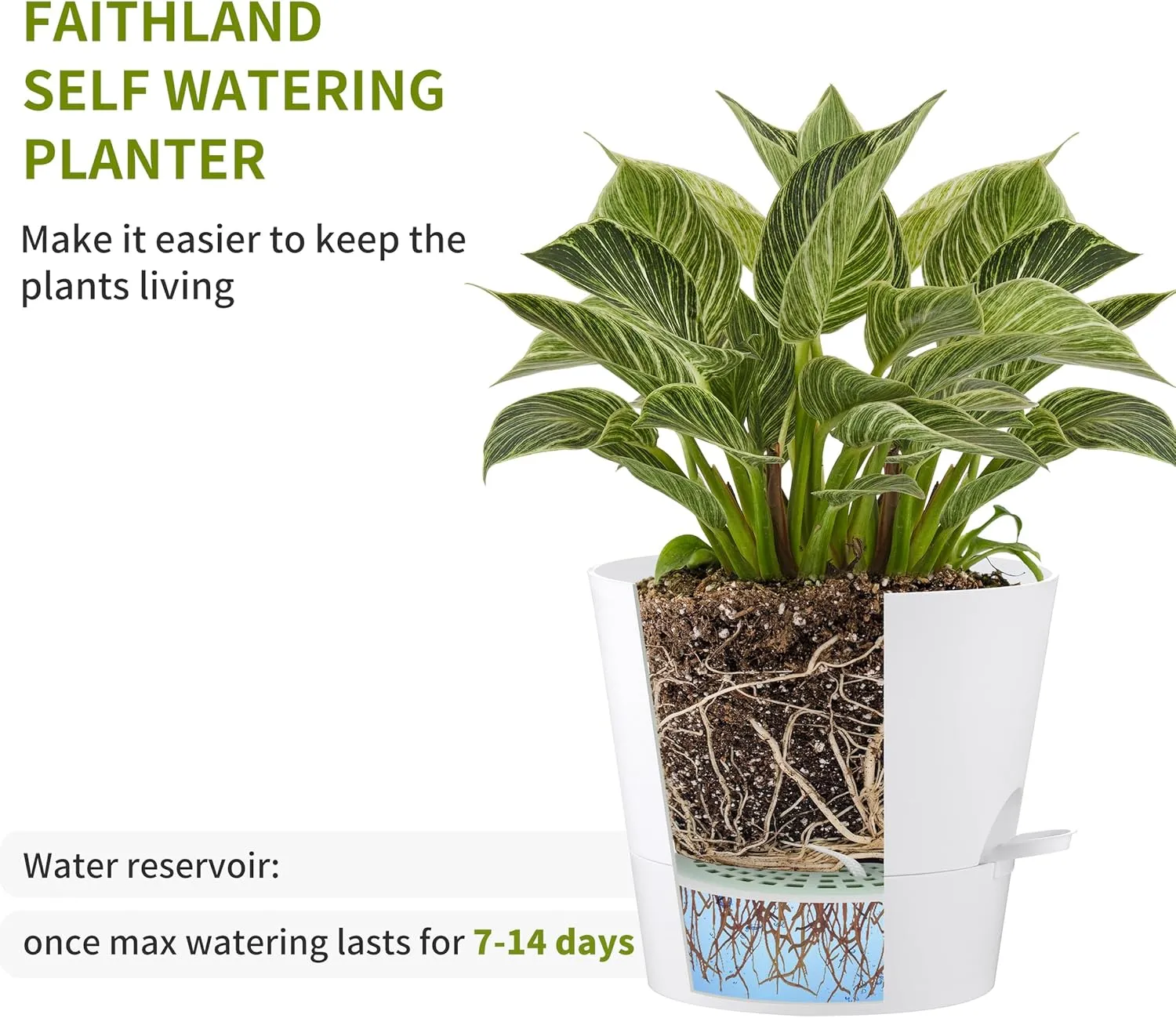 FaithLand 6-Pack White Self Watering Planter Pots for Indoor Outdoor Plants - 8, 7, 6.5, 6, 5.5, 5 Inches Flower Pots
