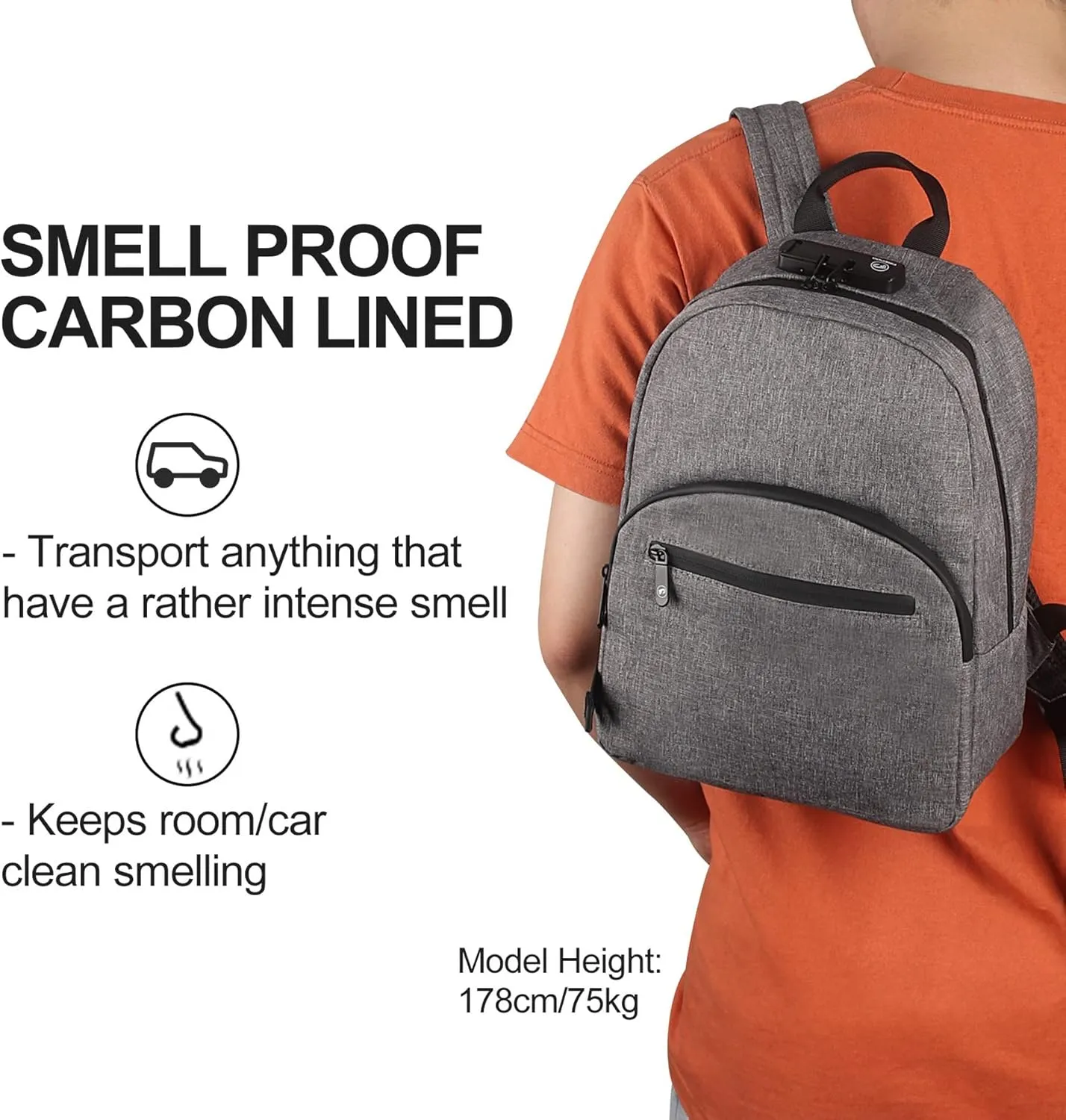 FIREDOG Mini Smell Proof Backpack with Lock, Smell Proof Bag for Men Women Travel (Grey)