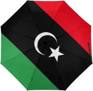 Haiti Flag Portable Automatic Switch Folding Umbrella Manual Sunshade Anti-UV Travel Umbrella Rainproof And Windproof Suitable for Men And Women