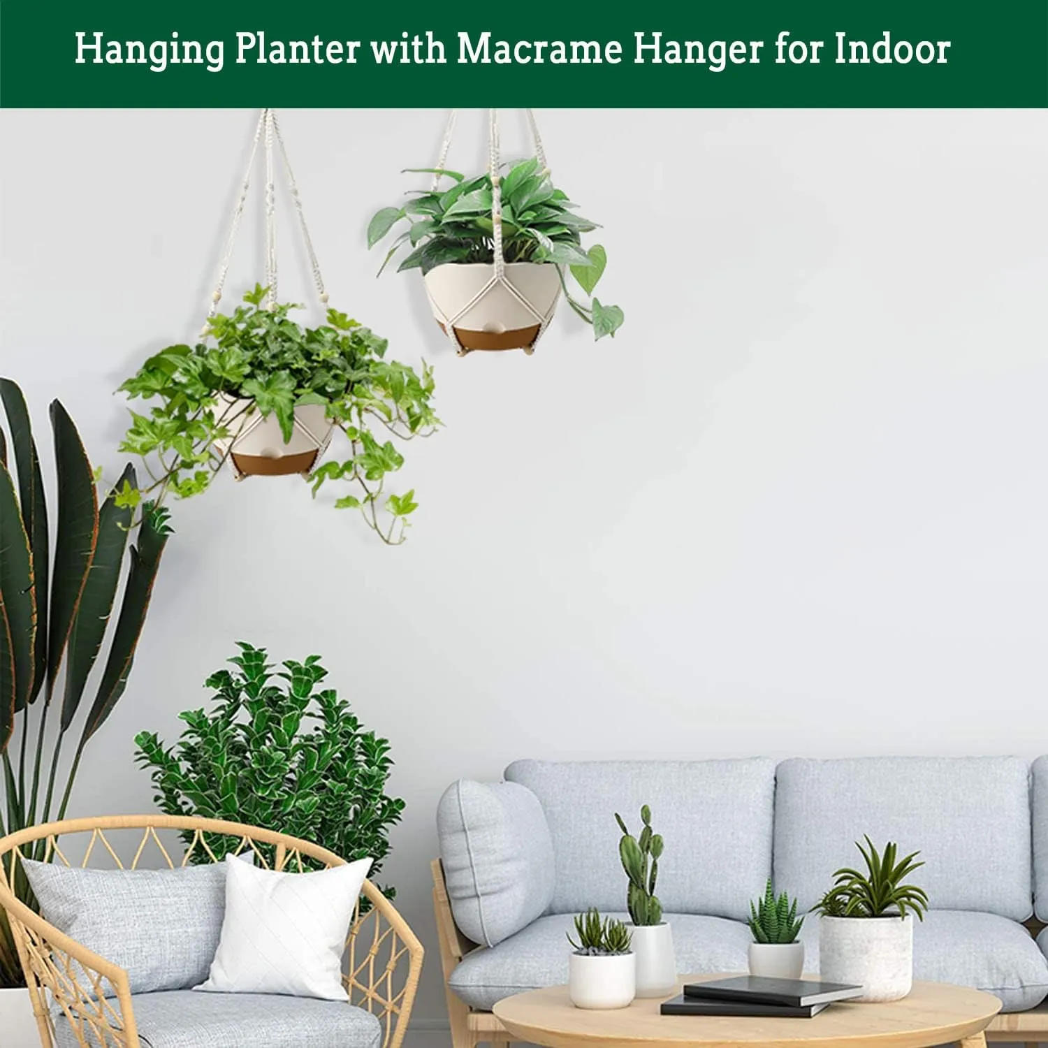 Hanging Planter Self Watering 10 Inch, 2 Pack Indoor Outdoor Hanging Baskets, Hanging Flower Pots with Drainage Hole & 2 Kinds of Plant Hangers for Garden Home Decor(Cream)…