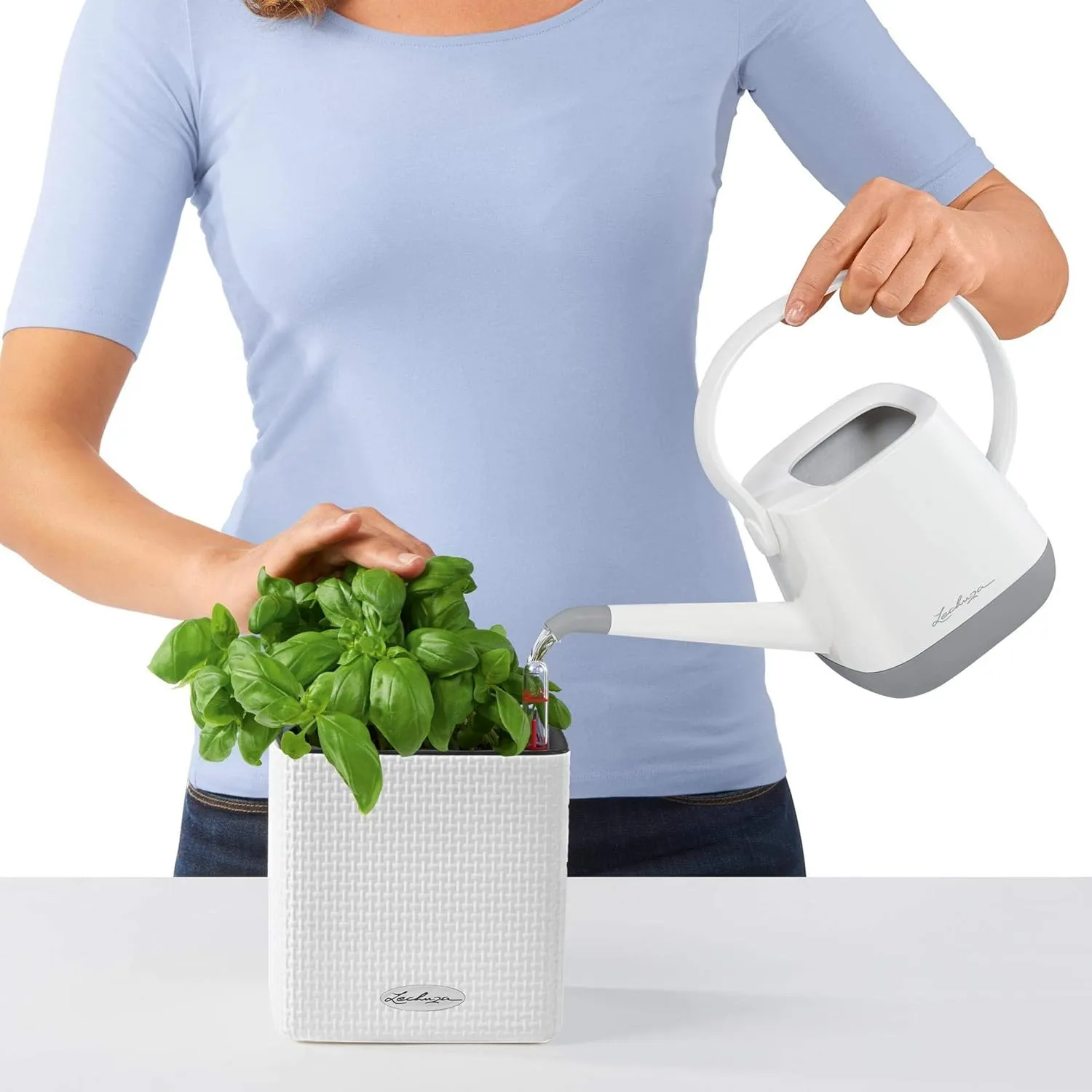 Lechuza 13580 Cube Color 16 Self-Watering Planter for Indoor and Outdoor Use, 7" x 7" x 6", White