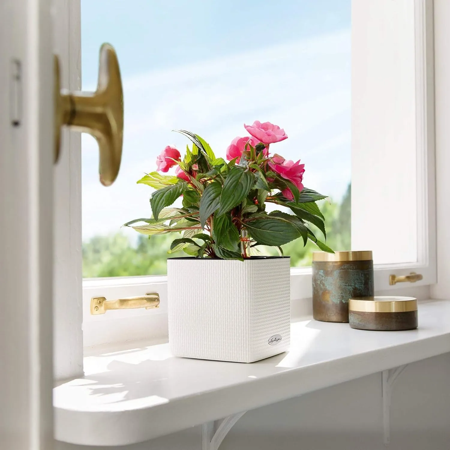 Lechuza 13580 Cube Color 16 Self-Watering Planter for Indoor and Outdoor Use, 7" x 7" x 6", White