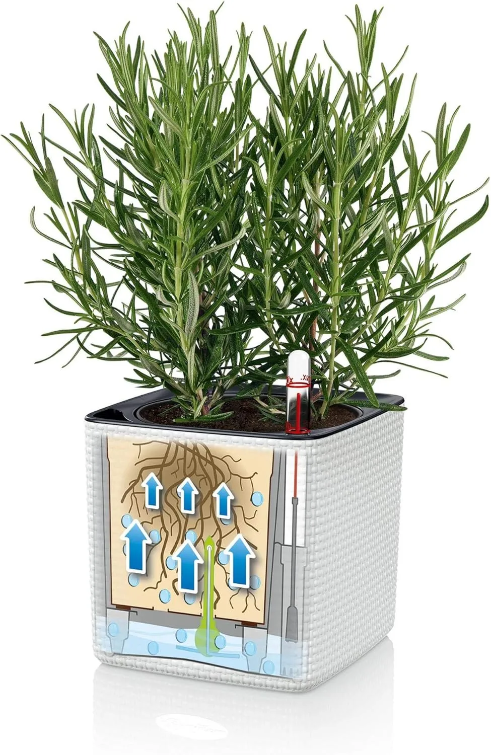 Lechuza 13580 Cube Color 16 Self-Watering Planter for Indoor and Outdoor Use, 7" x 7" x 6", White