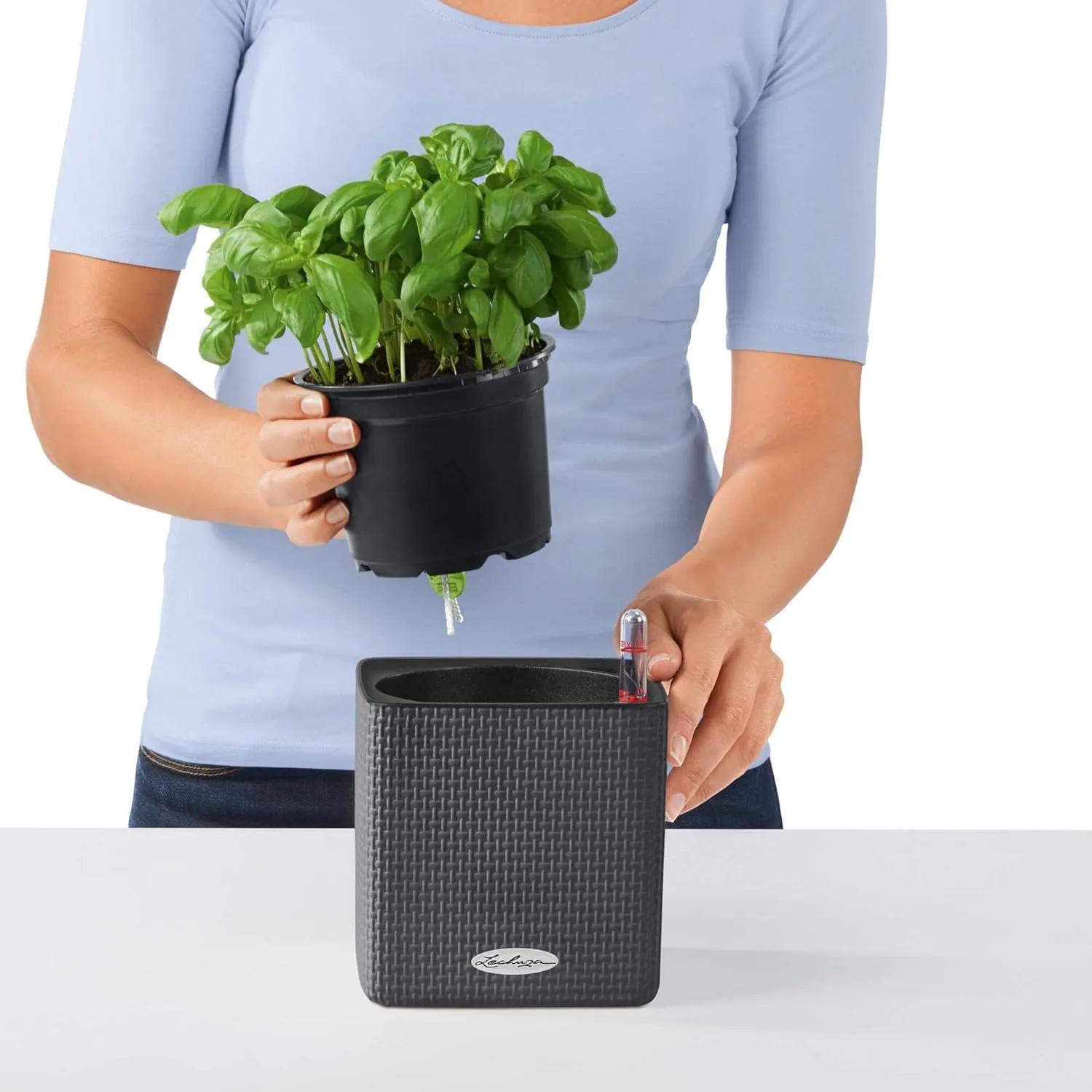 Lechuza 13580 Cube Color 16 Self-Watering Planter for Indoor and Outdoor Use, 7" x 7" x 6", White