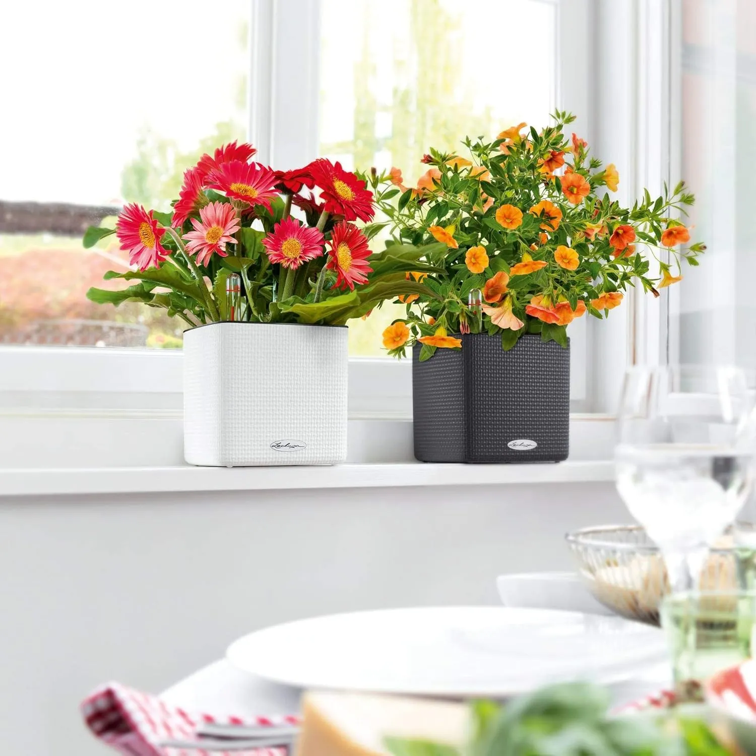 Lechuza 13580 Cube Color 16 Self-Watering Planter for Indoor and Outdoor Use, 7" x 7" x 6", White