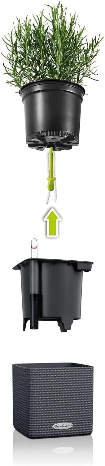 Lechuza 13580 Cube Color 16 Self-Watering Planter for Indoor and Outdoor Use, 7" x 7" x 6", White