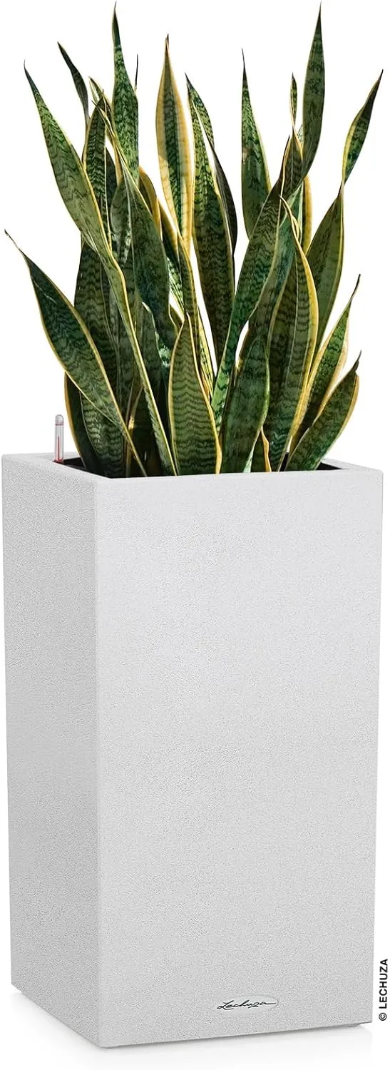 Lechuza 13627 Canto Color 40 Self-Watering Planter for Indoor and Outdoor Use, 16" x 16" x 30", White