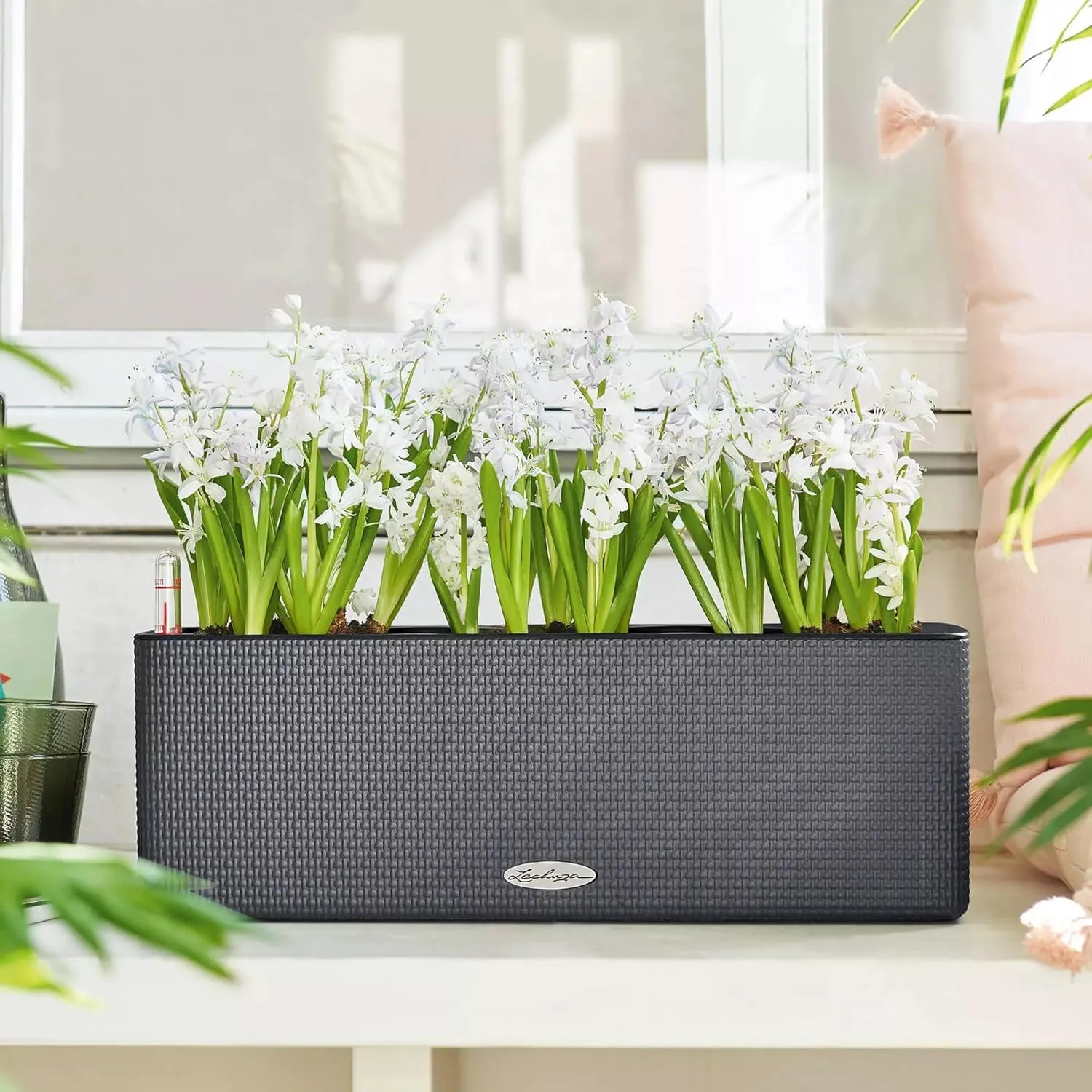 Lechuza 13684 Cube Color Triple Self-Watering Planter for Indoor and Outdoor Use, 16" x 5.5" x 5.25", Slate
