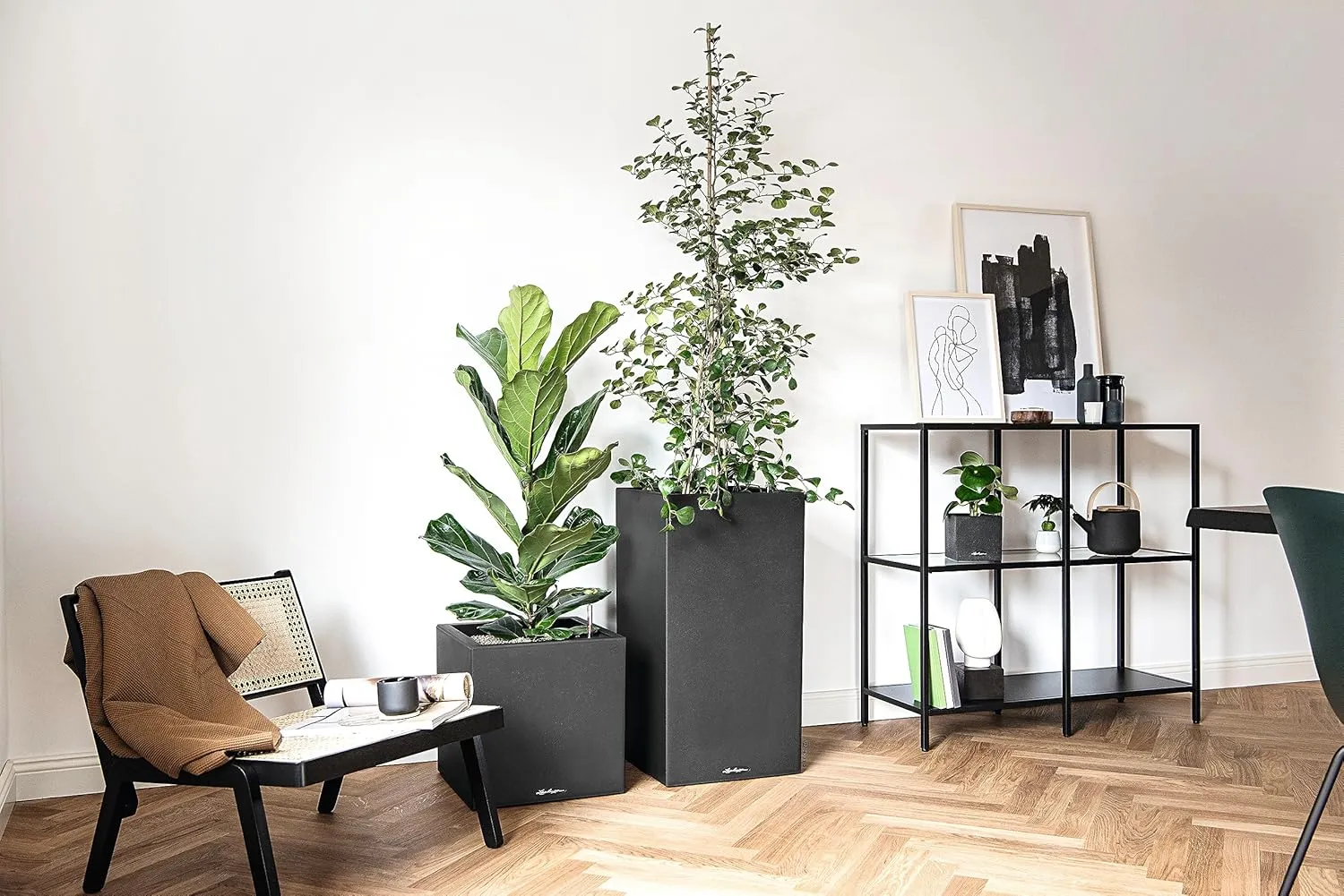 Lechuza 13702 Canto Color 30 Square Self-Watering Garden Planter, Graphite Black