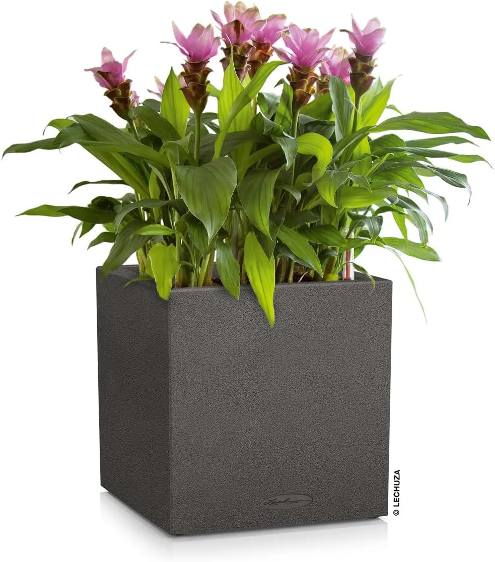 Lechuza 13702 Canto Color 30 Square Self-Watering Garden Planter, Graphite Black