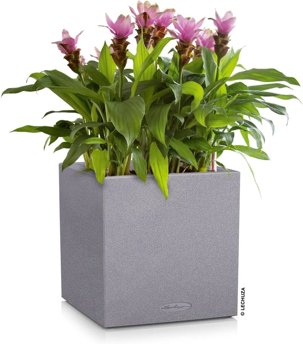 Lechuza 13720 Canto Stone Self-Watering Planter for Indoor and Outdoor Use, 16" x 16" x 16", Grey