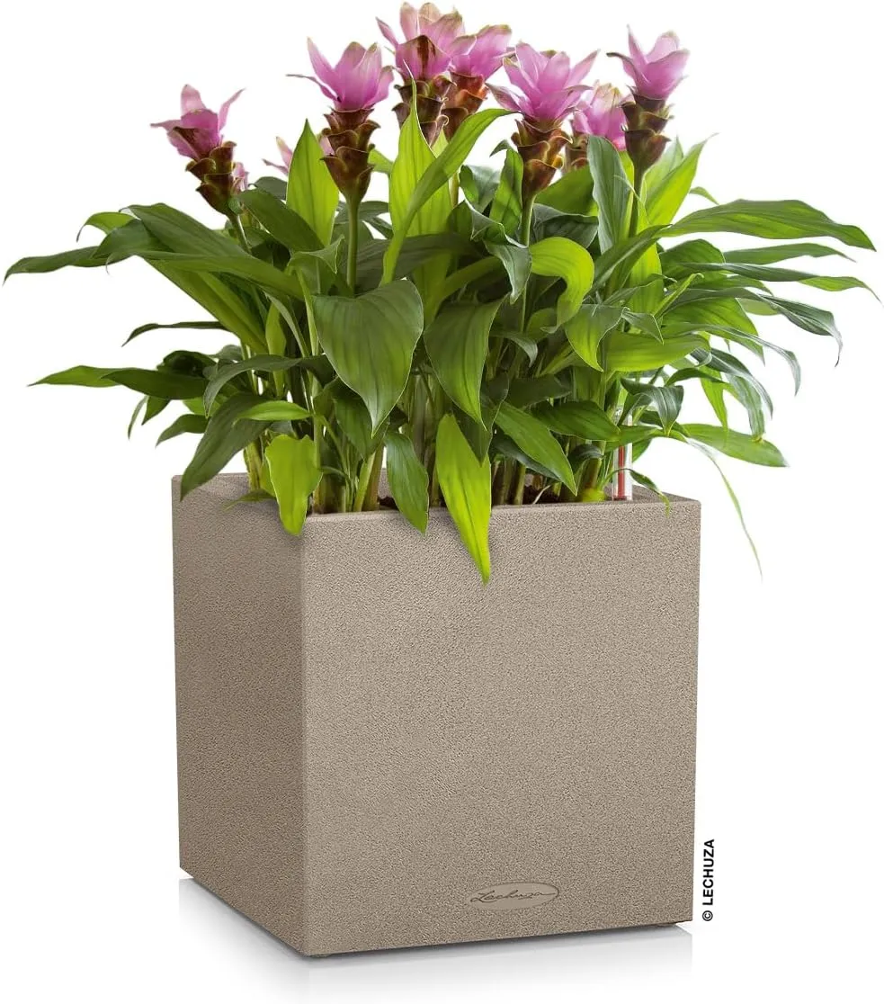 Lechuza Canto Color 40 Cube Planter Sandy Beige, 16" x 16" x 16"
