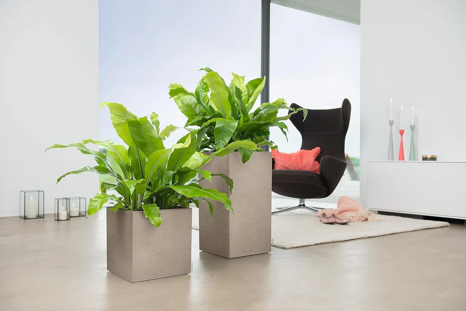 Lechuza Canto Color 40 Cube Planter Sandy Beige, 16" x 16" x 16"