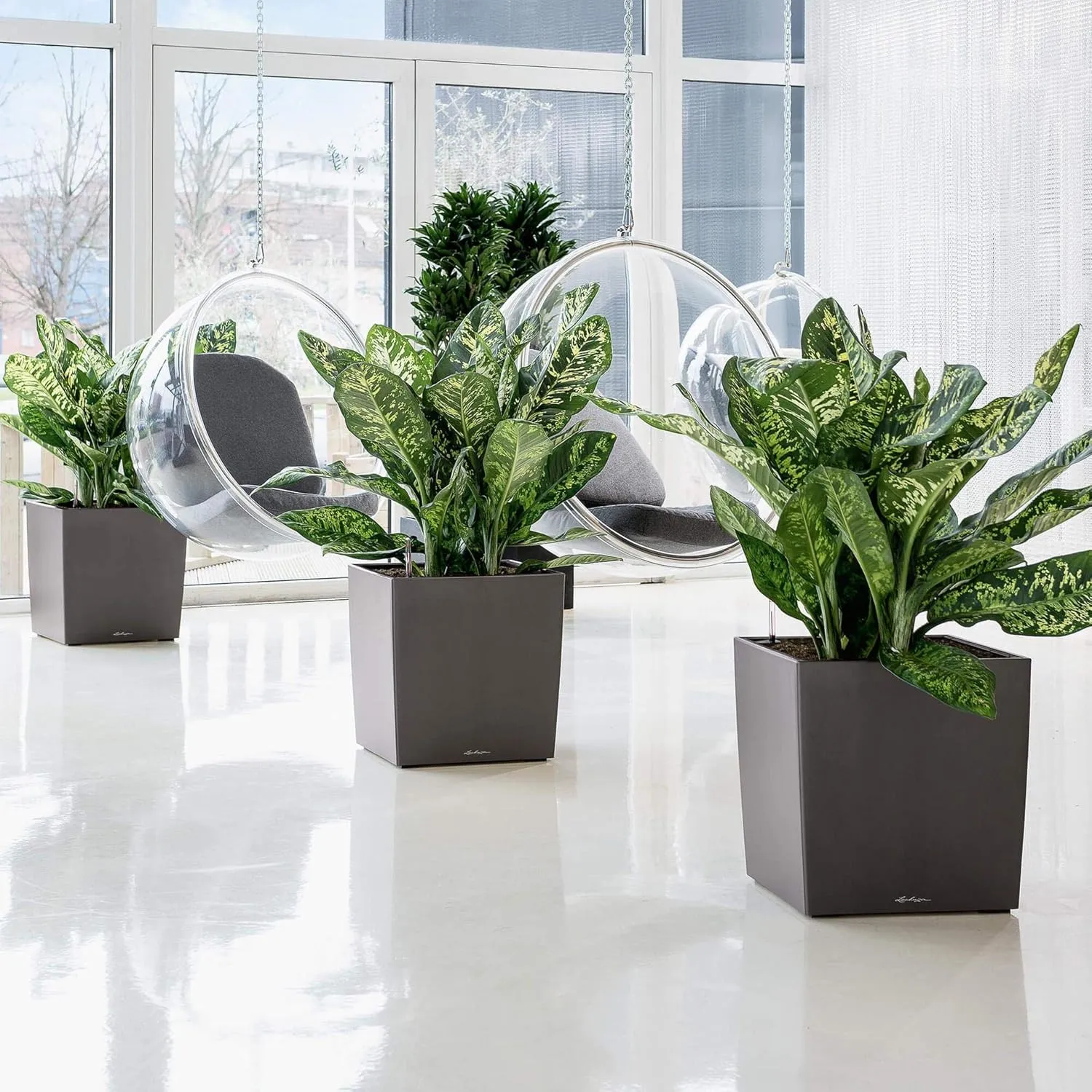 Lechuza Cube 50 Large Flower Indoor/Outdoor Garden Floor Self-Watering Planter with Drainage Hole with Plant Substrate Contemporary Poly-Resin H50 L50 W50 cm Black 13 Kg