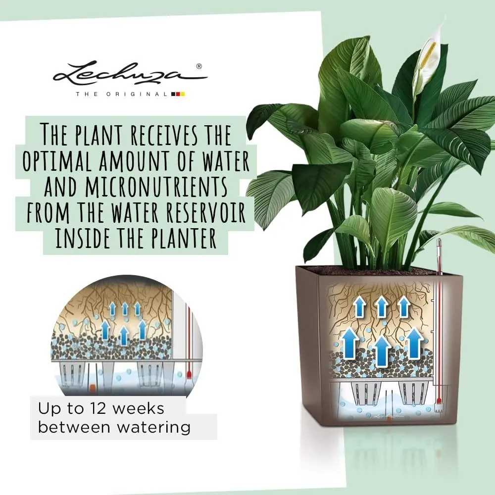 Lechuza Cube 50 Large Flower Indoor/Outdoor Garden Floor Self-Watering Planter with Drainage Hole with Plant Substrate Contemporary Poly-Resin H50 L50 W50 cm Dark Grey 13 Kg