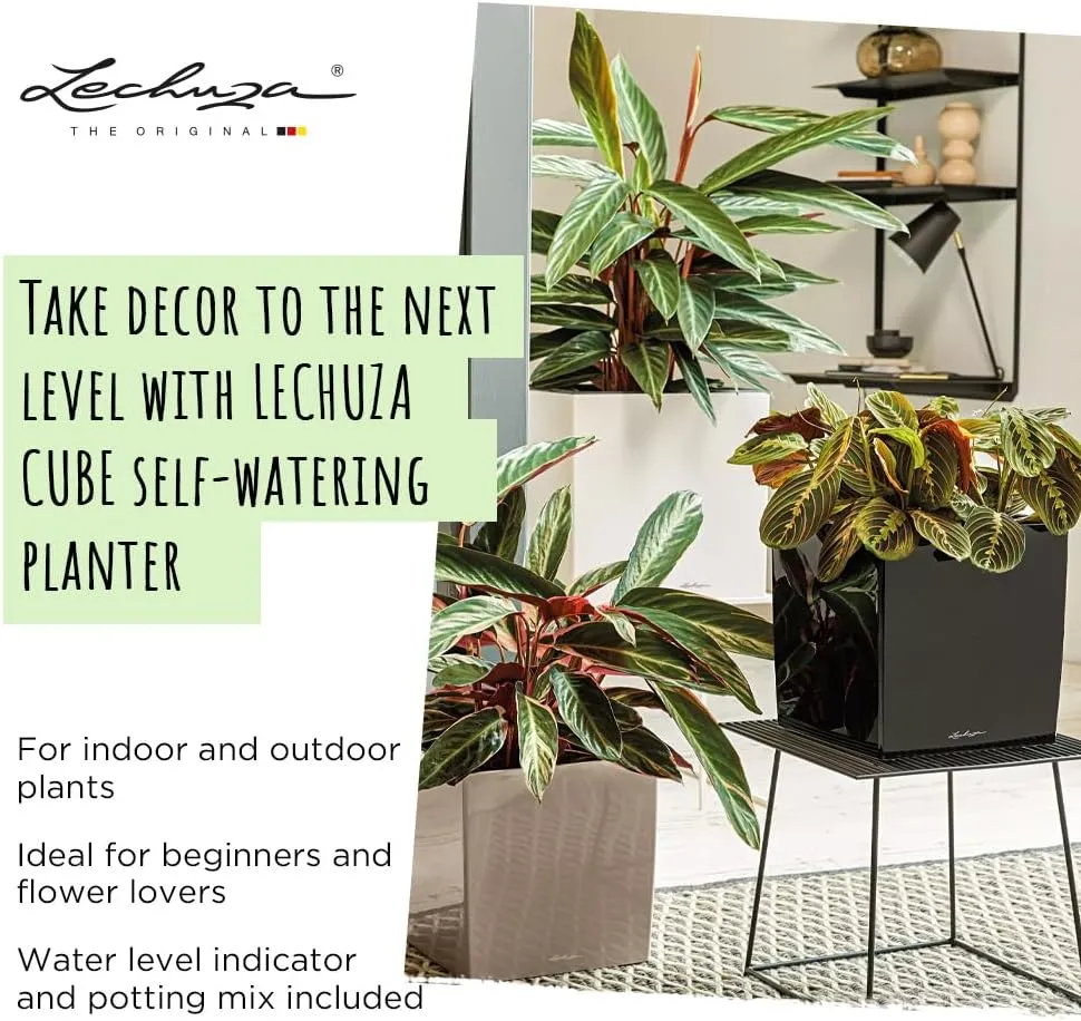 Lechuza Cube 50 Large Flower Indoor/Outdoor Garden Floor Self-Watering Planter with Drainage Hole with Plant Substrate Contemporary Poly-Resin H50 L50 W50 cm Dark Grey 13 Kg