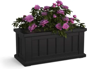 Mayne Cape Cod Rectangle Planter - Black - 24in L x 11in W x 11in D - Polyethylene - Built-in Water Reservoir (4839-B)