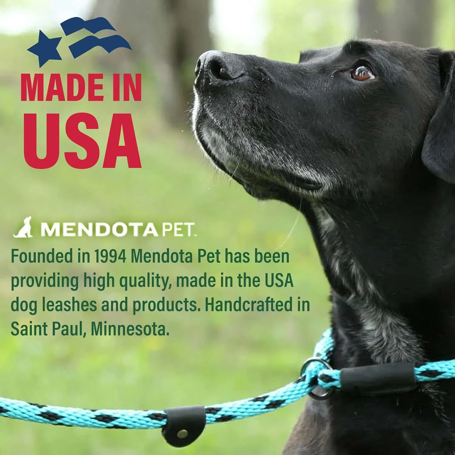 Mendota Pet Snap Leash - British-Style Braided Dog Lead, Made in The USA - Black, 3/8 in x 6 ft - for Small/Medium Breeds