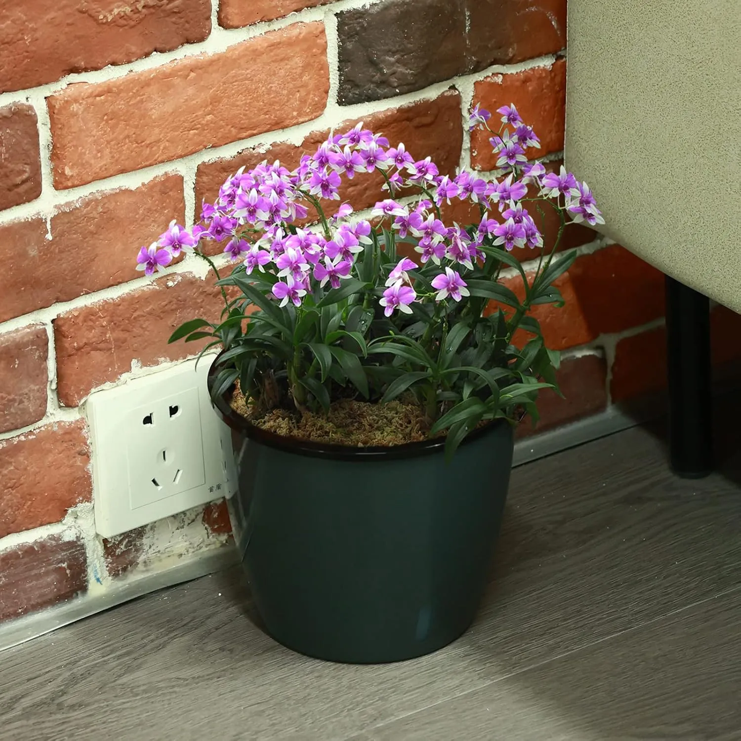 Planterhoma 6.7 Inch Self Watering Pots for Indoor Plants, 6 Packs African Violet Pots with Indicator, Black Wick Pot with Drainage Holes, Self Watering Planters for Orchid, Devil's Ivy, Grey