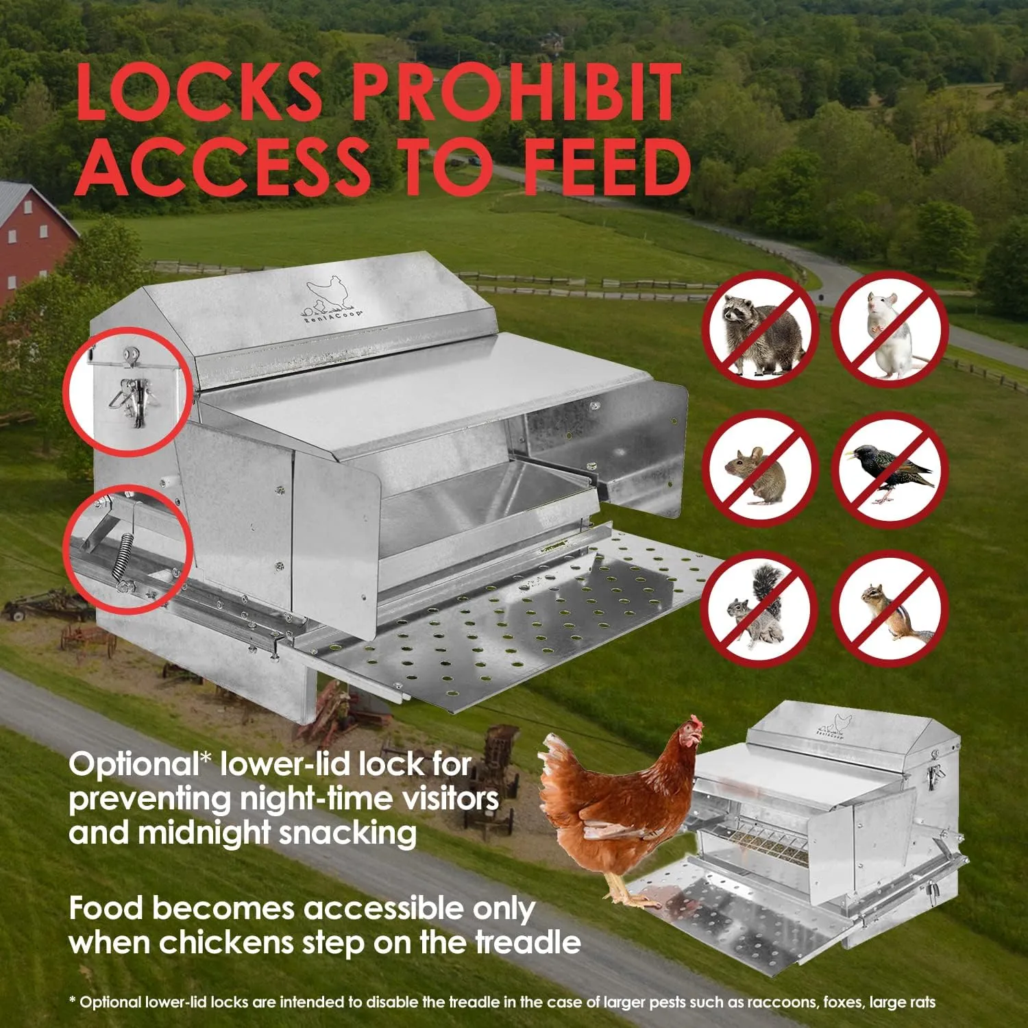 RentACoop Automatic Metal Treadle Feeder - Outdoor Use, Rainproof - Suitable for Chicken, Bantams, Poultry, Pheasants, etc. - 25lb Capacity