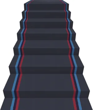 Stair Treads Carpet, Full Roll Self-Adhesive Stair Pads, Kids, Elders and Pets Friendly Anti-Skid Staircase Decoration Pad, Step Floor Mat, Safety Step Protection Rug Cover (Color : B(Width: