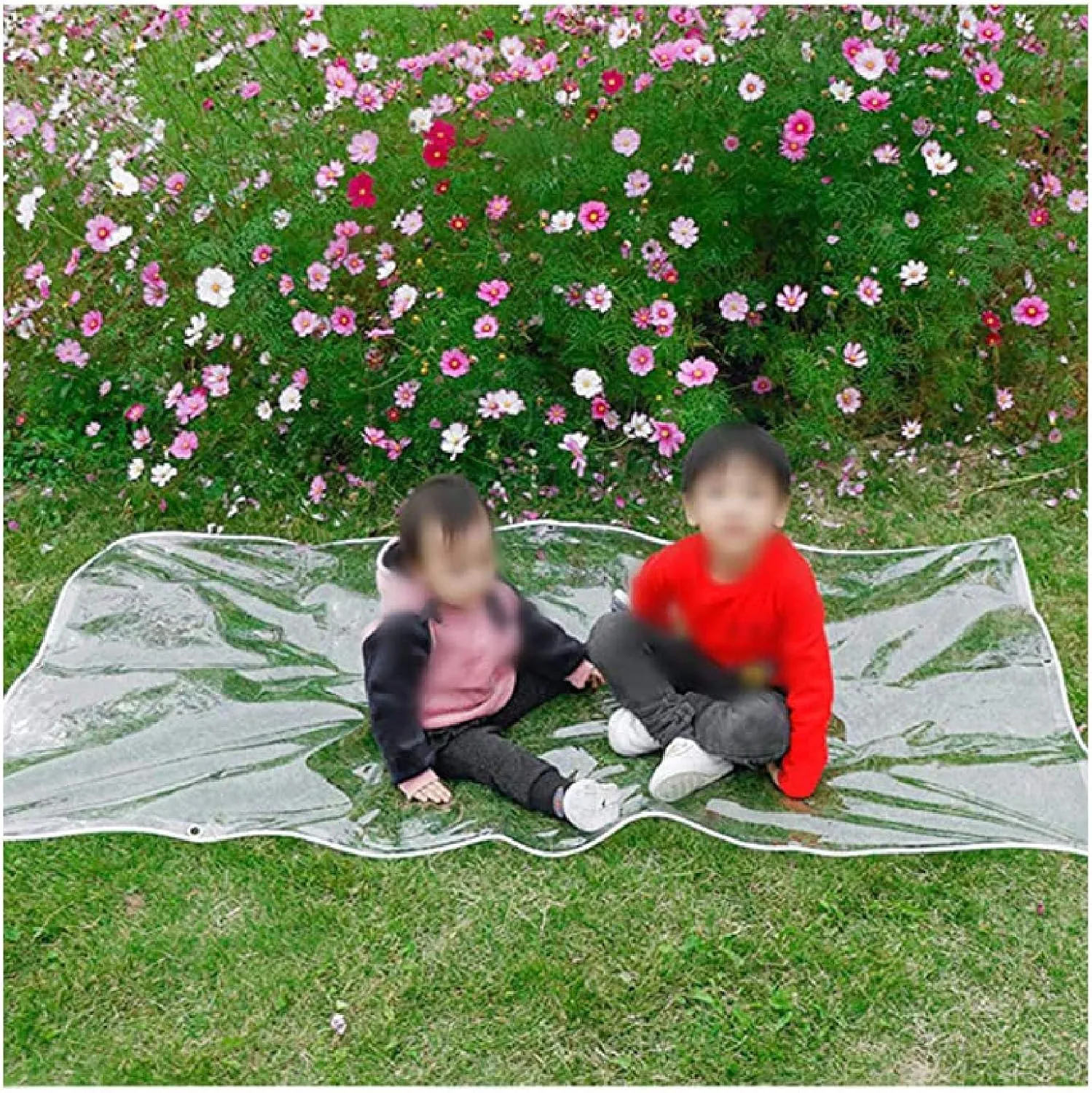 ZHANGQINGXIU Transparent PVC Tarpaulin, Waterproof Fabric Tarpaulin Heavy Duty High Transparency Pavilion Home, Weatherproof Sun Protection Plant Cover with Eyelets, DIY Sizes