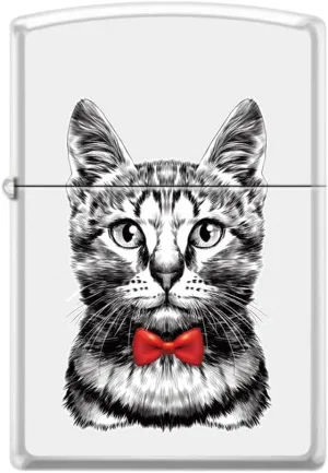 Zippo Lighter-Cat Pet Animal Windproof Lighter Cool Cat Z5563